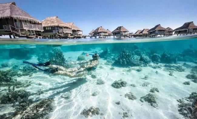 海底世界填颜色4