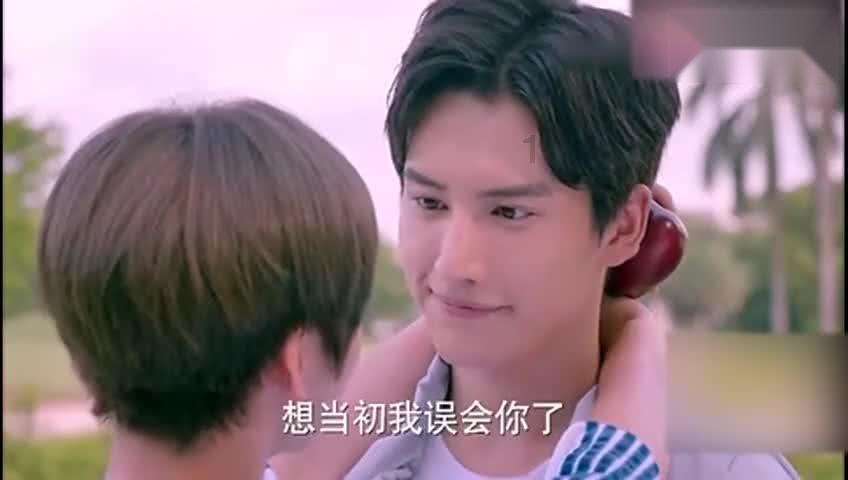 这些中药材价格为何上演“过山车”？