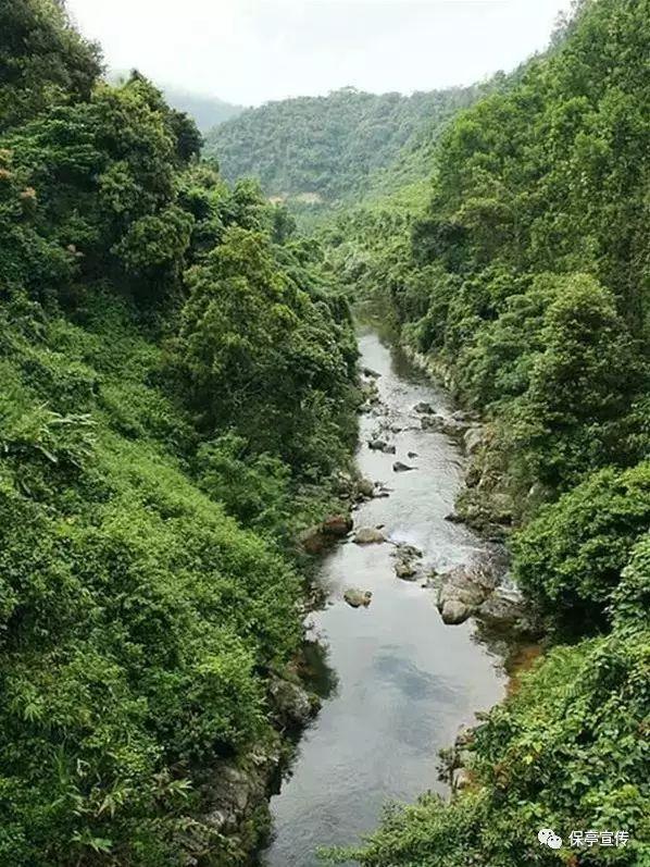李湘辟谣1560元出售二手毛巾,就是图开心