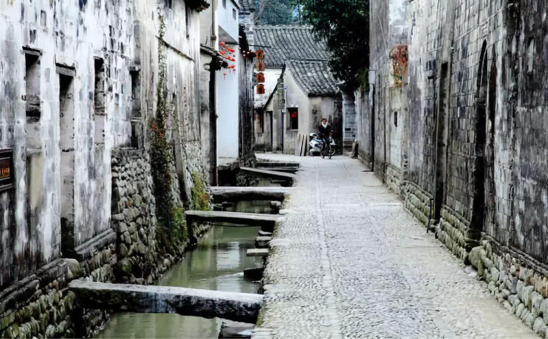 吃金币的猫