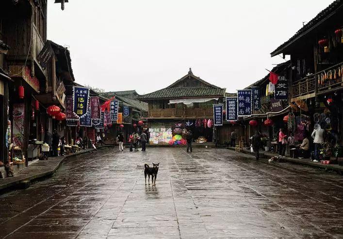 民国上海乞丐:全城六大丐帮,有人会说外语,其中还有女大学生