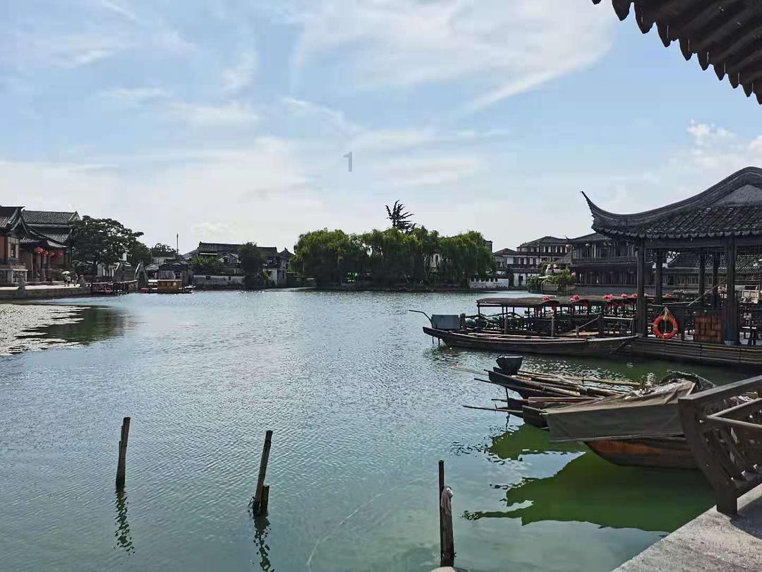 微视频｜自备“神器”？一群中学生带放大镜来看古画